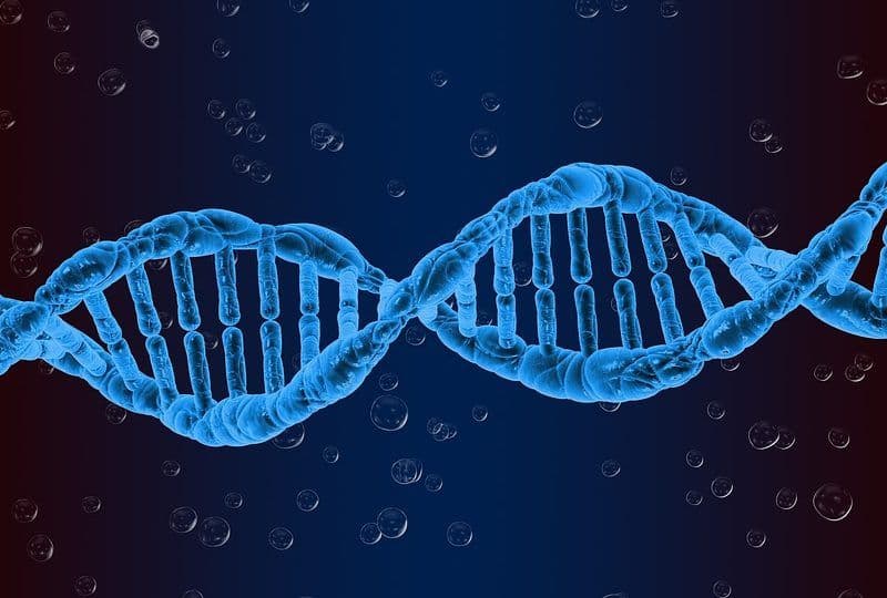 DNA